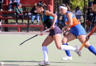 Todo lo que pasó y lo que viene en el hockey acción