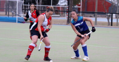 Se juega una nueva fecha del hockey acción